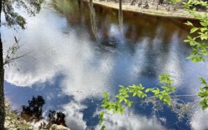 Property photo for land for sale in Hamilton County Florida