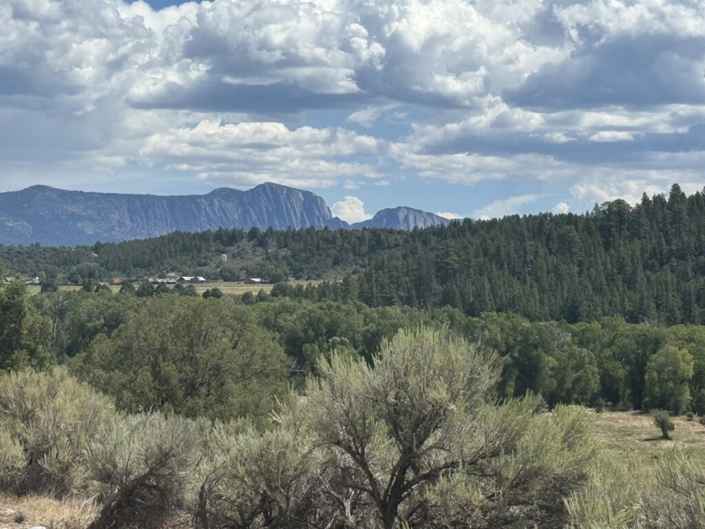 Property photo for land for sale in Rio Arriba County New Mexico