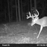 Property photo for land for sale in Marion County Texas