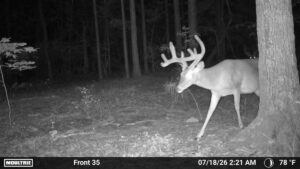 Property photo for land for sale in Marion County Texas