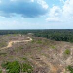 Property photo for land for sale in Lincoln County Mississippi