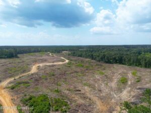 Property photo for land for sale in Lincoln County Mississippi