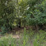 Property photo for land for sale in Boone County Arkansas