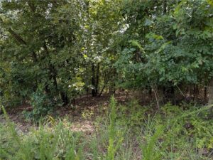 Property photo for land for sale in Boone County Arkansas