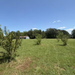 Property photo for land for sale in Titus County Texas
