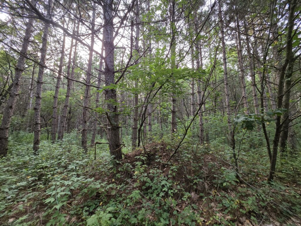 91d02017-97af-4a47-b86c-dc759f968127.jpg