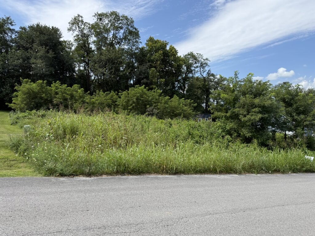 92166d05-3734-4ada-bd93-e7900455c720.jpg