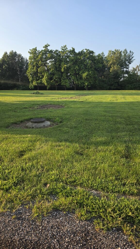 927fc489-47d2-4146-9f67-09a1e7c82396.jpg