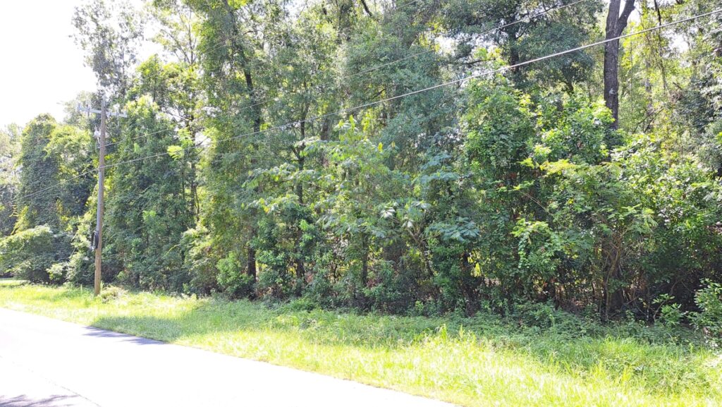 Property photo for land for sale in Suwannee County Florida