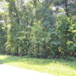 Property photo for land for sale in Suwannee County Florida