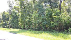 Property photo for land for sale in Suwannee County Florida