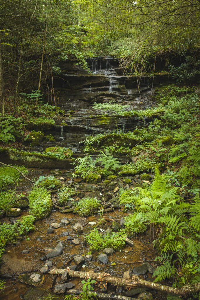 9633a735-53e7-402f-8dd0-cc7c6b13cb95.jpg