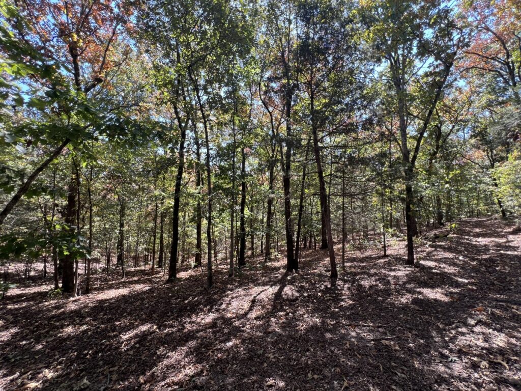 Property photo for land for sale in Independence County Arkansas