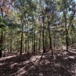 Property photo for land for sale in Independence County Arkansas