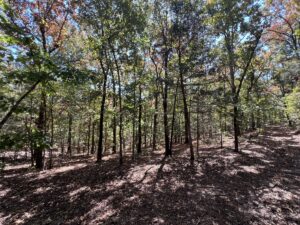 Property photo for land for sale in Independence County Arkansas