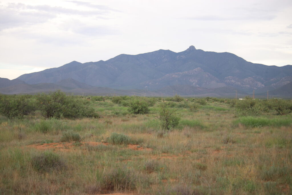 Property photo for land for sale in Cochise County Arizona