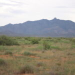 Property photo for land for sale in Cochise County Arizona