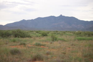 Property photo for land for sale in Cochise County Arizona