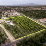 Property photo for land for sale in Dona Ana County New Mexico