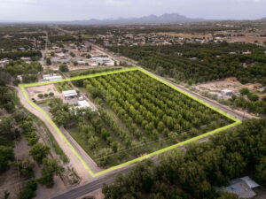 Property photo for land for sale in Dona Ana County New Mexico