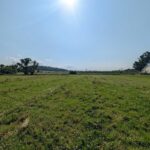 Property photo for land for sale in Waupaca County Wisconsin