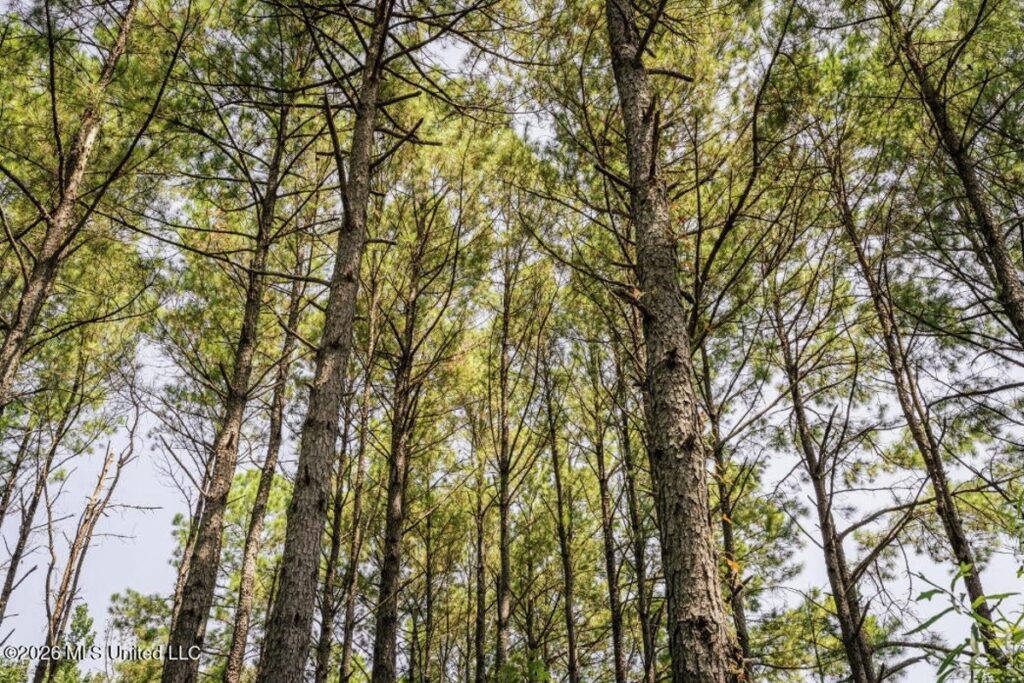 9e8203d3-7622-4841-b8d3-e3045600548e.jpg