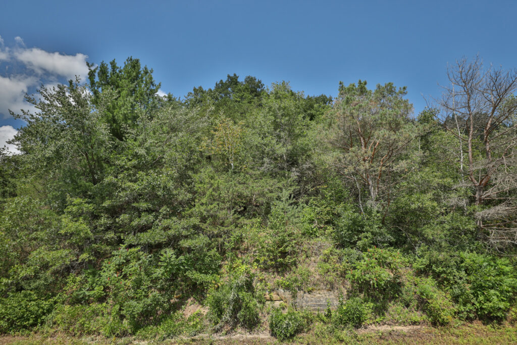 a269d1c7-c2d5-40a6-8eab-7e7ed4565be9.jpg