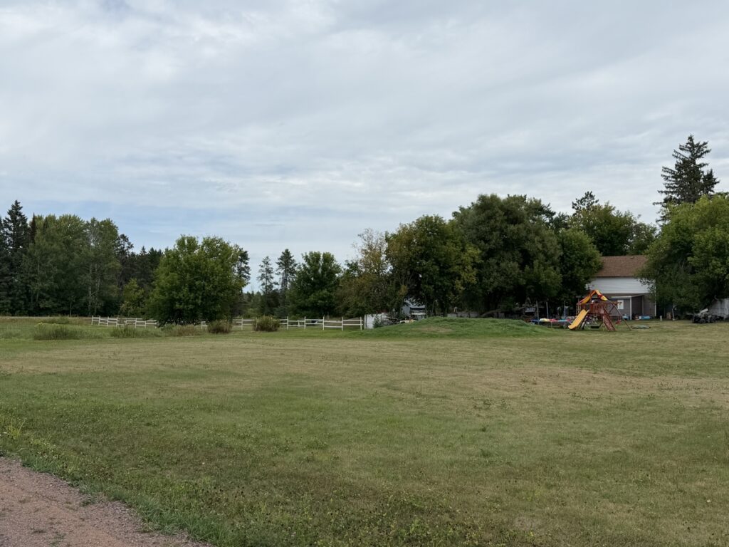 a4477954-8135-4ab5-8708-9ec9aced51c7.jpg