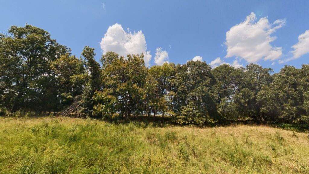 a44f7060-2076-4de3-ae3d-126344cbcd07.jpg