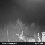 Property photo for land for sale in St. Clair County Missouri