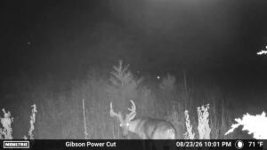 Property photo for land for sale in St. Clair County Missouri