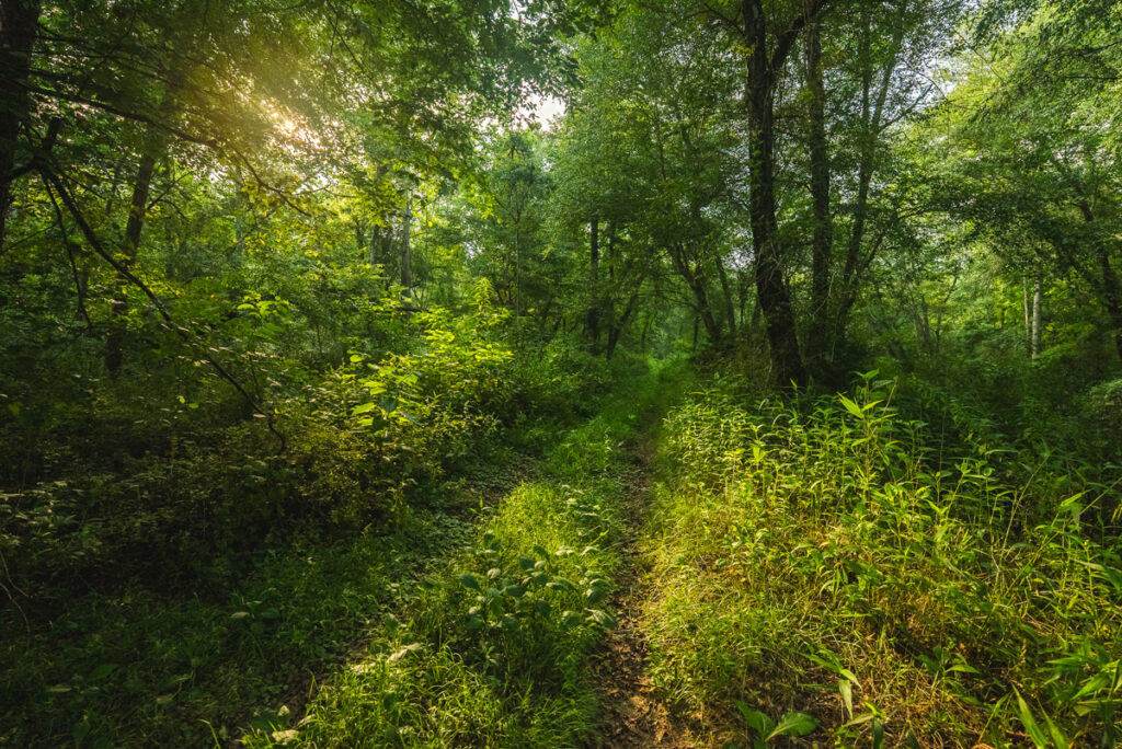 a82ca086-3df7-4a3e-a3f2-028d6e82b46f.jpg