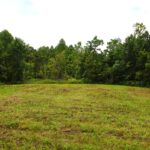 Property photo for land for sale in Metcalfe County Kentucky