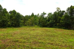 Property photo for land for sale in Metcalfe County Kentucky