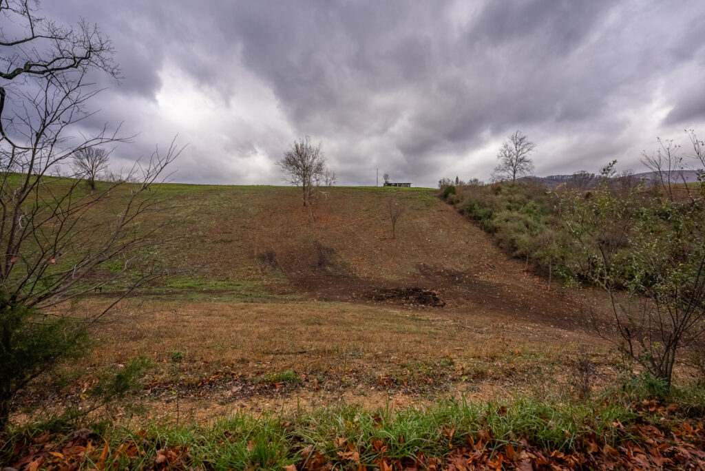 ab043867-27d3-4eb6-9e77-b167ab75fa17.jpg