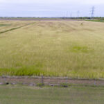 Property photo for land for sale in Nueces County Texas