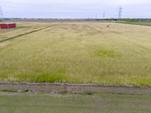 Property photo for land for sale in Nueces County Texas