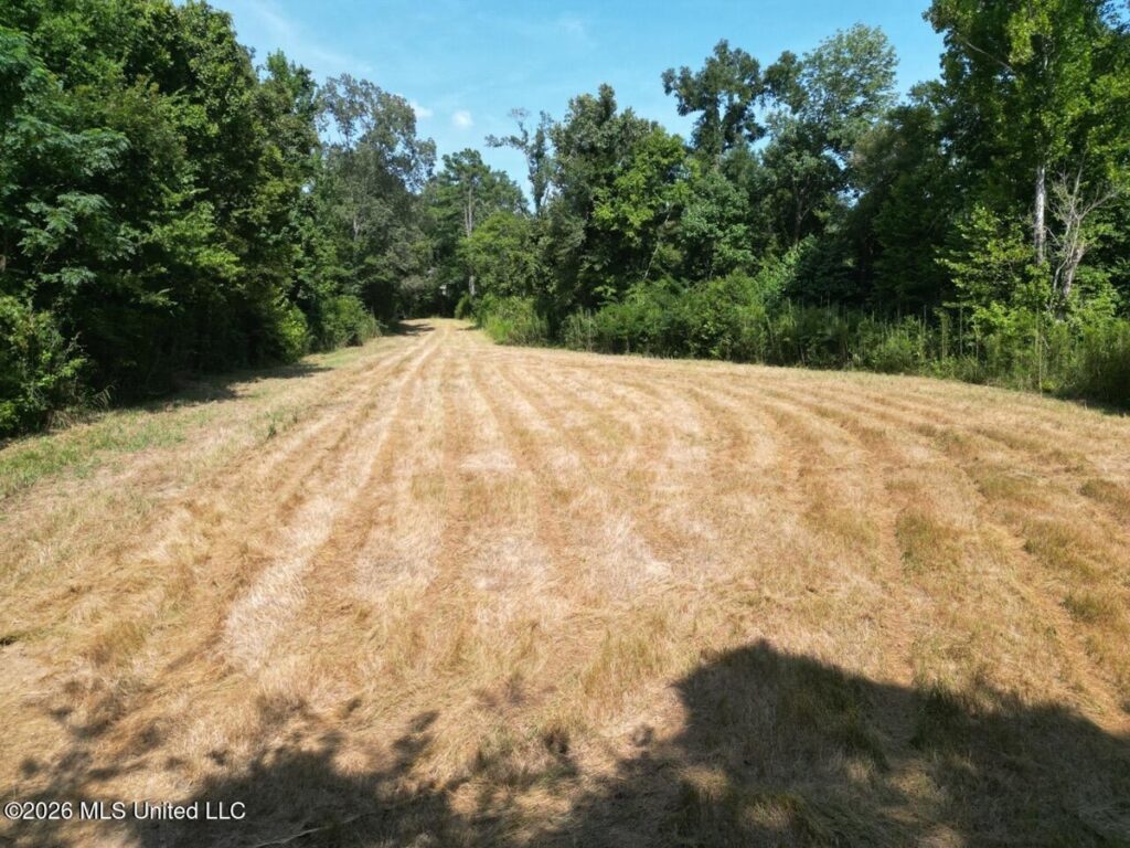 Property photo for land for sale in Jefferson County Mississippi