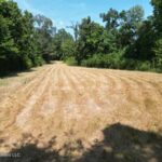 Property photo for land for sale in Jefferson County Mississippi