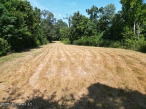 Property photo for land for sale in Jefferson County Mississippi