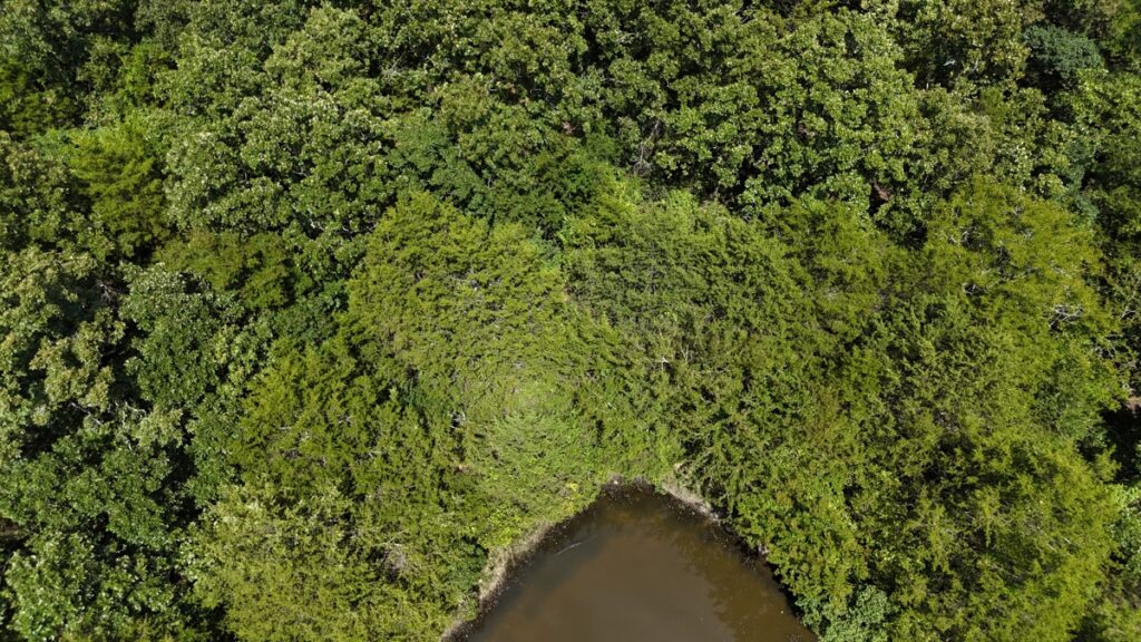 ac1242d1-ee8e-4db3-b980-76e0c06fb554.jpg
