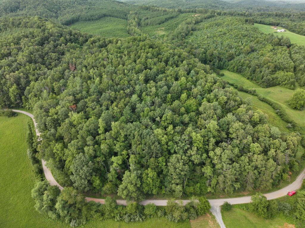 Property photo for land for sale in Patrick County Virginia