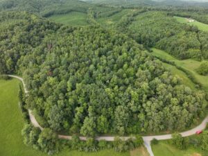 Property photo for land for sale in Patrick County Virginia