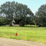 Property photo for land for sale in Pike County Mississippi