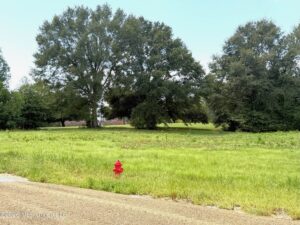 Property photo for land for sale in Pike County Mississippi