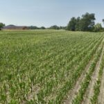 Property photo for land for sale in Houston County Alabama