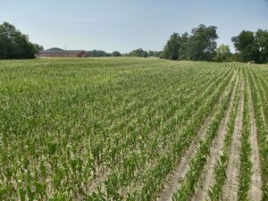 Property photo for land for sale in Houston County Alabama