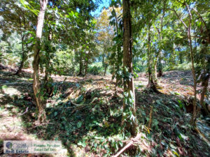 Property photo for land for sale in  County Panama
