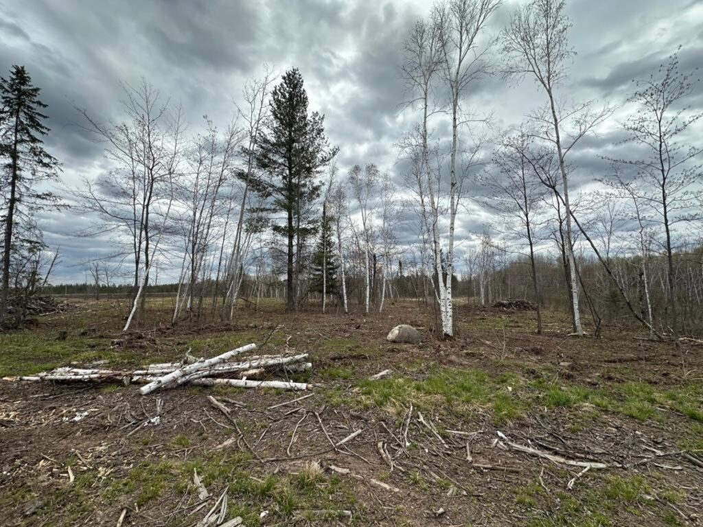 Property photo for land for sale in Pine County Minnesota