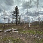 Property photo for land for sale in Pine County Minnesota